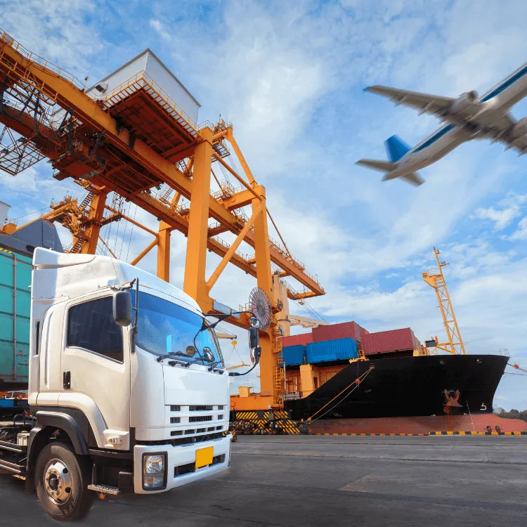 About ocean bridge. One of the best logistics companies in Karachi